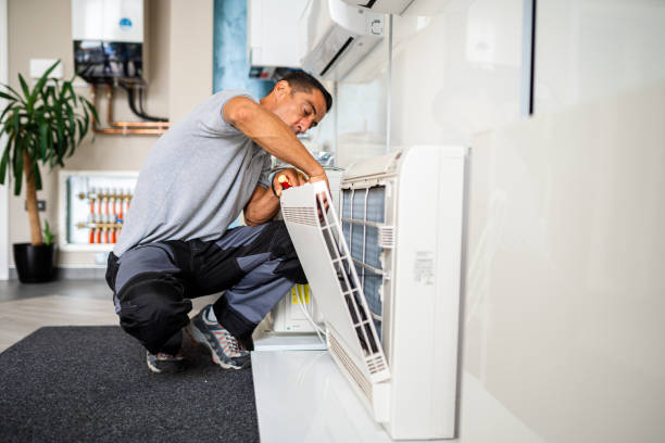 Best Local Air Duct Cleaning Services  in La Huerta, NM